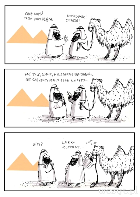 Arab sprzedaje wielbłąda